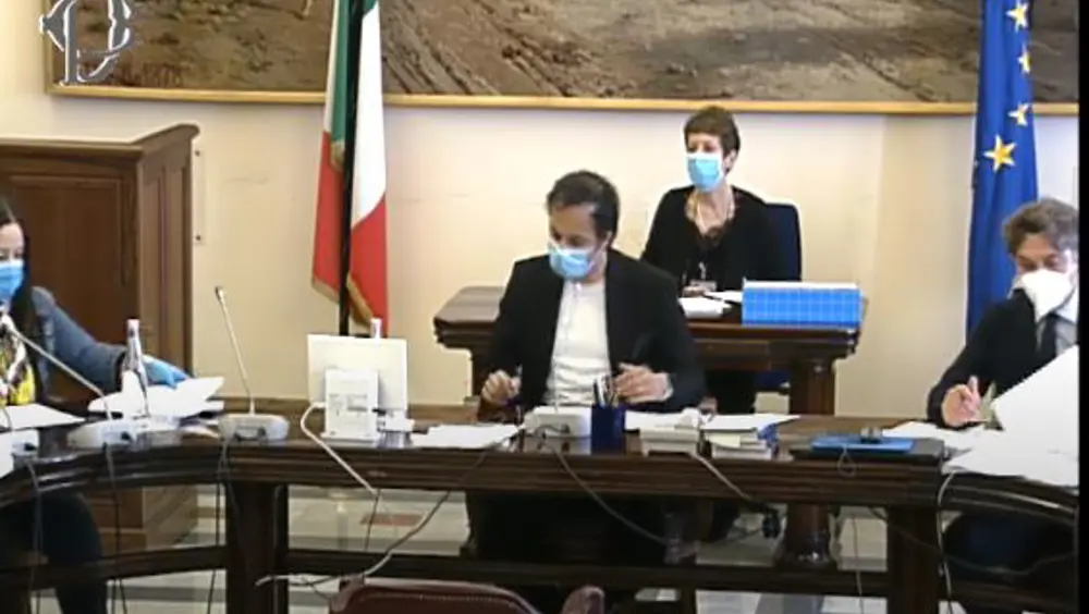 Commissione Politiche UE della Camera, interrogazioni a risposta immediata su Covid Commissione Politiche UE della Camera, interrogazioni a risposta immediata su Covid