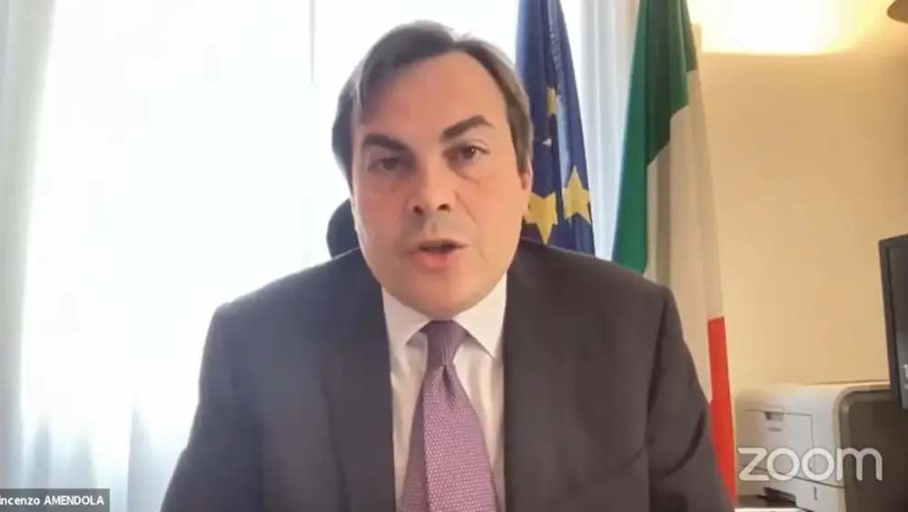 "Il CNEL per la Conferenza sul Futuro dell'Europa", intervento del Sottosegretario Amendola