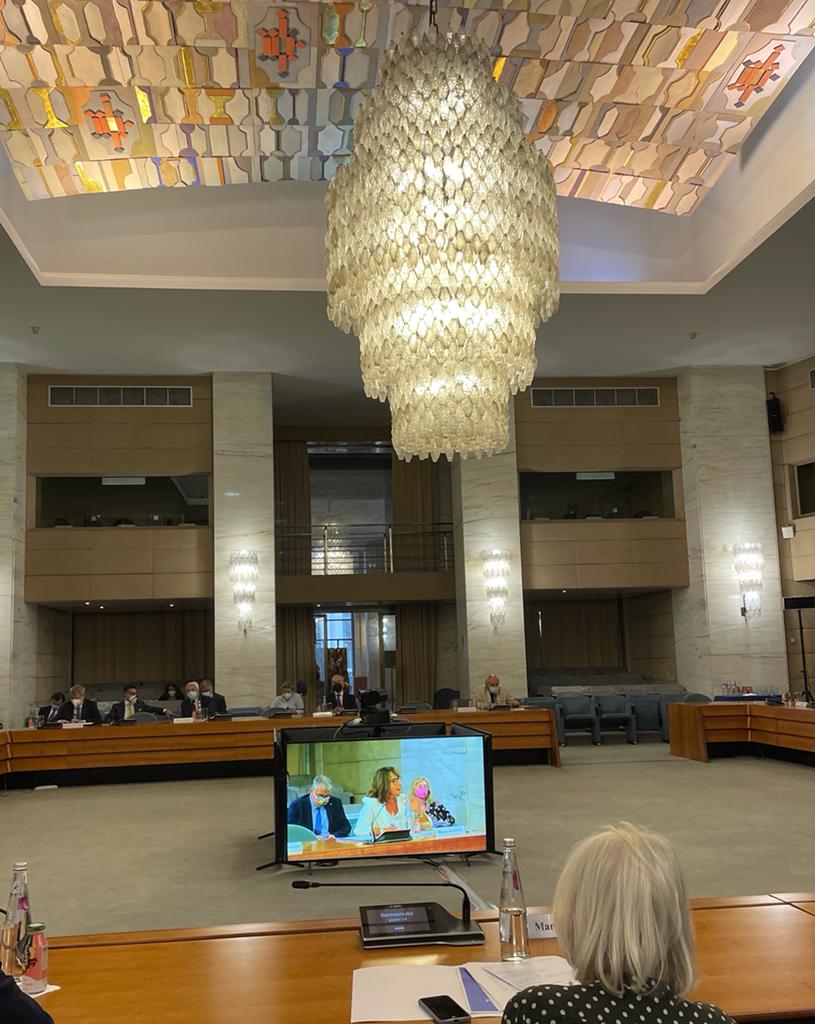 Conferenza sul futuro dell'Europa, sesta riunione del Comitato scientifico